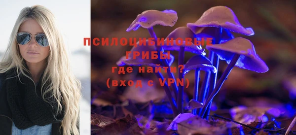 стаф Кинешма