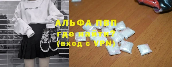 индика Гусь-Хрустальный