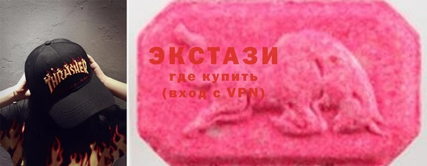 индика Гусь-Хрустальный