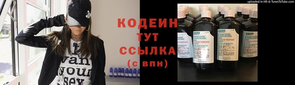 индика Гусь-Хрустальный