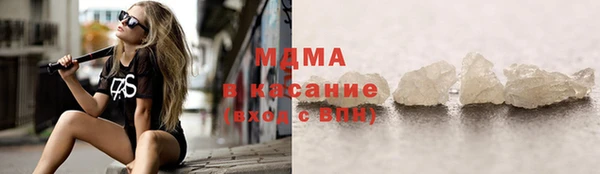 индика Гусь-Хрустальный
