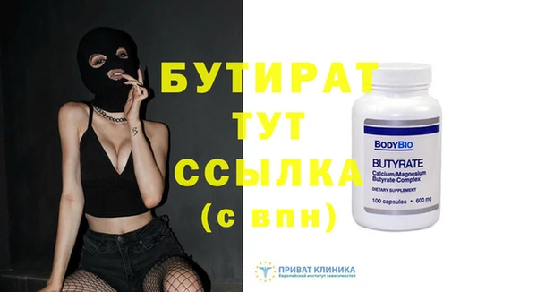 индика Гусь-Хрустальный