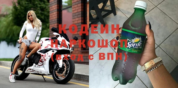 индика Гусь-Хрустальный