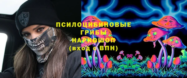 прущая мука Гусиноозёрск
