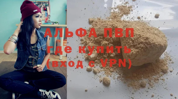 индика Гусь-Хрустальный