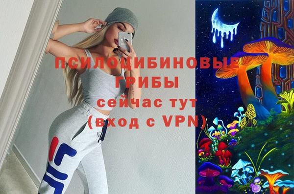 индика Гусь-Хрустальный