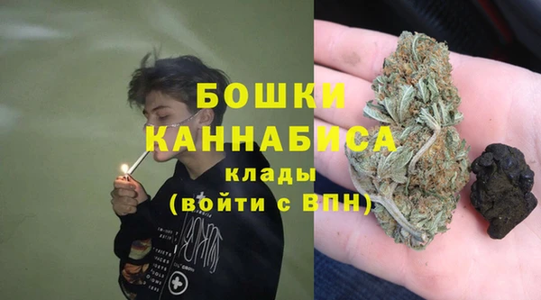 индика Гусь-Хрустальный