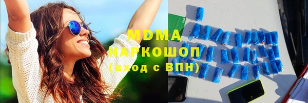 индика Гусь-Хрустальный