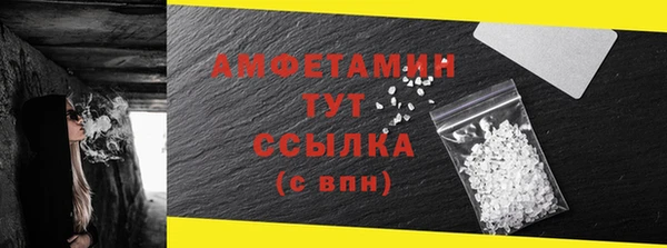 индика Гусь-Хрустальный