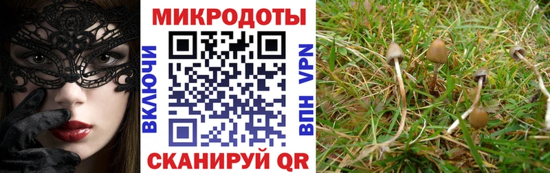 Псилоцибиновые грибы ЛСД купить цена Вельск